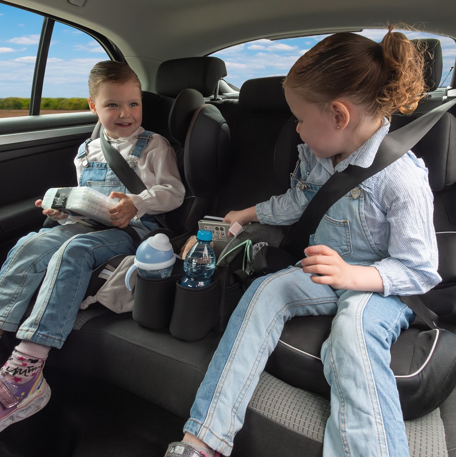 Järjestelijä autoon Dooky Backseat Basket